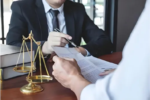 International client legal consultation